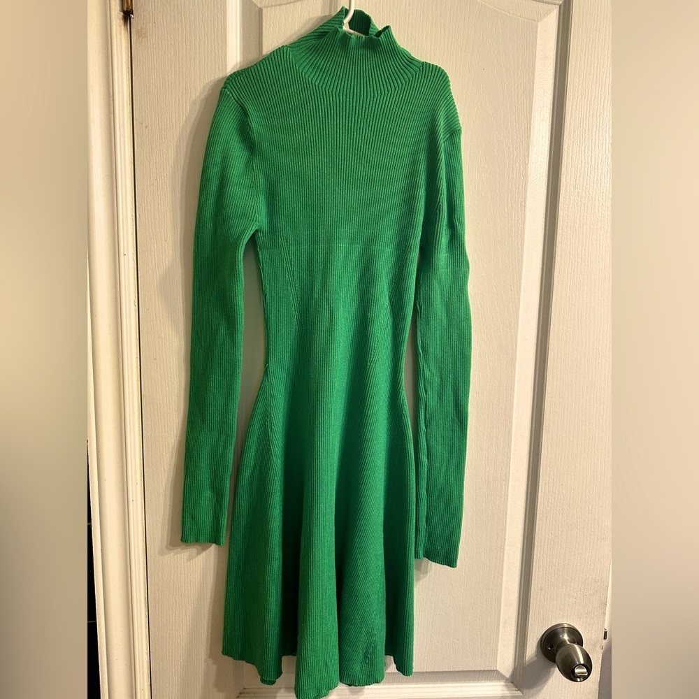 Zara knit turtleneck dress​